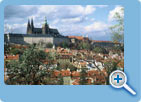 A view of the Prague Castle from the Petrin hill